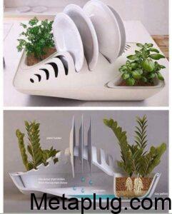 Dish Rack Water Plant